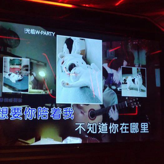 杭州小费高的酒吧招聘女服务生,服装和形象要求是怎样的？
